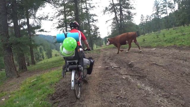 300 км на велике по горам Алтая с ребенком смотреть онлайн