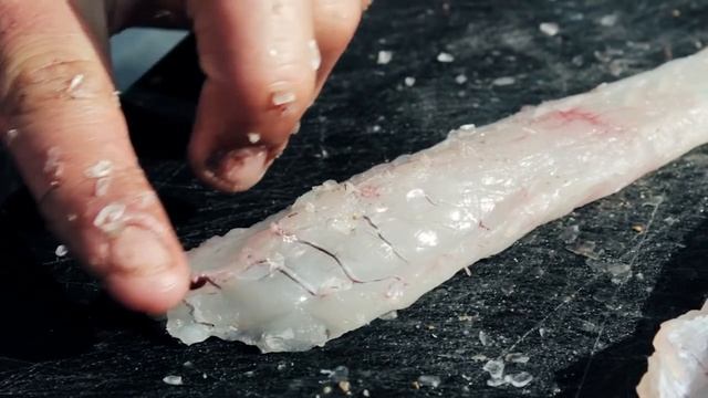 How To: Fillet Flathead | We Flick Fishing Videos смотреть онлайн
