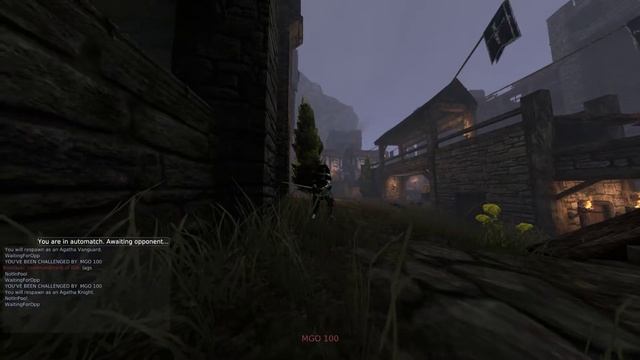 chivarly low population duel server experience смотреть онлайн