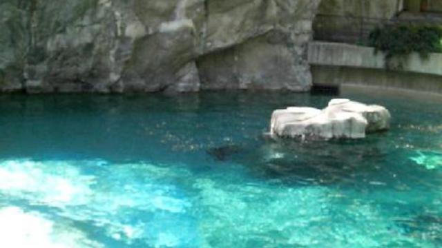 вашингтон зоо 007 смотреть онлайн