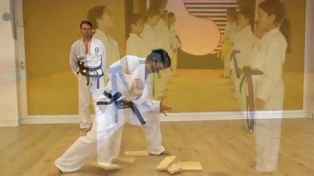 Taekwondo-Institut - Eine überzeugende Qualität für eine gesunde, vitale und sichere Zukunft. смотреть онлайн