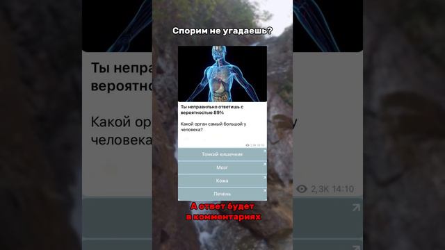 Какой же самый большой орган? Ответ будет по ссылке в комментариях #факты #загадки смотреть онлайн