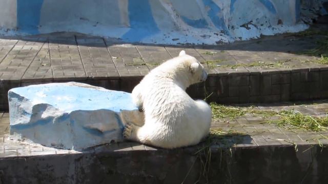 Герда позирует 12.07.16 смотреть онлайн