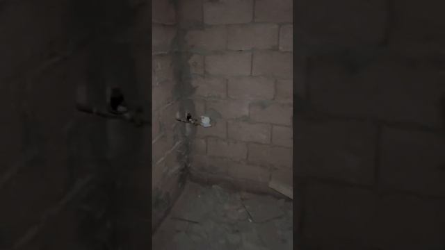 Мансарда на цветочной 1/10/10 смотреть онлайн