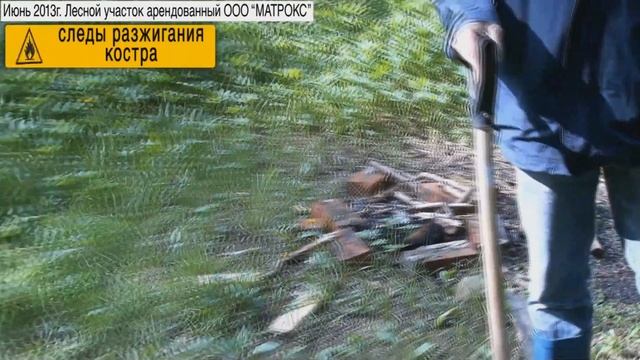Немчиновский лес смотреть онлайн