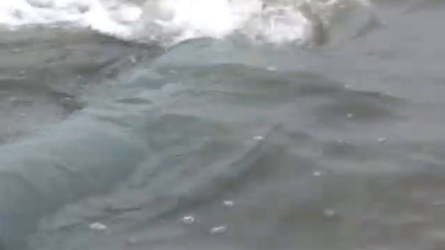 Солигорск. СТК. Зарыбление водохранилища смотреть онлайн