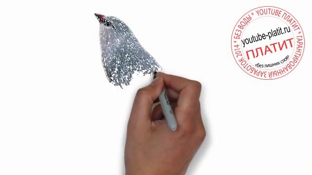 Птицы нарисованные карандашом Как поэтапно карандашом нарисовать красноклювую птичку смотреть онлайн