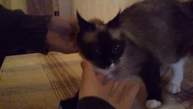 Зачем ты делаешь мне больно? смотреть онлайн