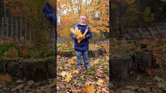 Осень ! Клёны золотые ! #алиса #алисаисемья #семейныйканал #осень смотреть онлайн