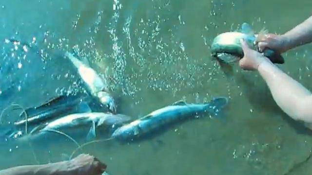 Ахтуба апрель