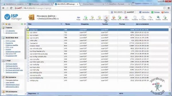 Хостинг HandyHost.ru. Как установить Wordpress на свой сайт