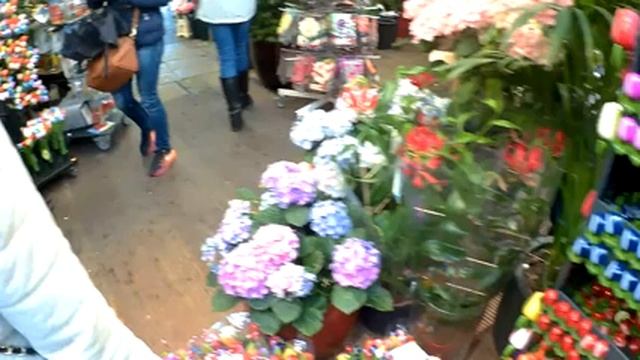 Цветочный рынок Амстердама смотреть онлайн