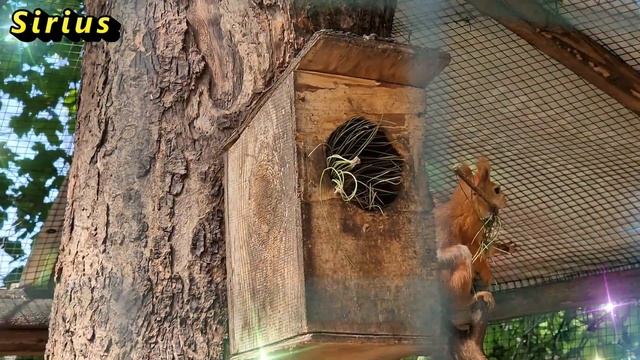 Что притягивает чёрную полосу к Вам смотреть онлайн