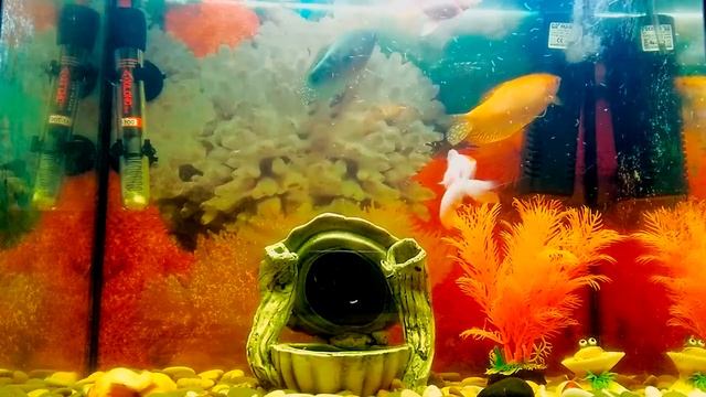 Крепкий СОН, глубокий релакс и успокоение нервной системы смотреть онлайн