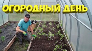 Огородный день! [Жизнь в деревне]