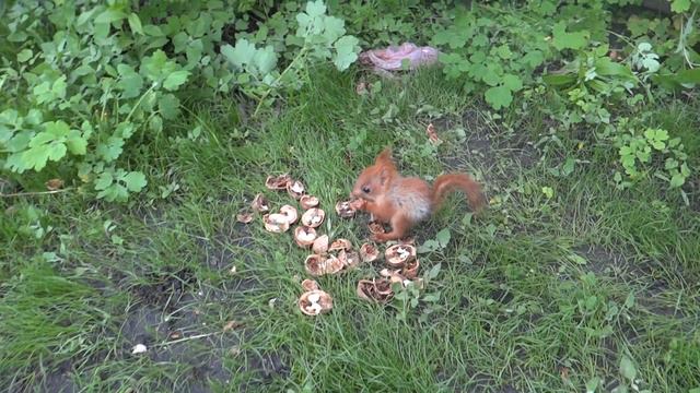 Моя прелесть смотреть онлайн