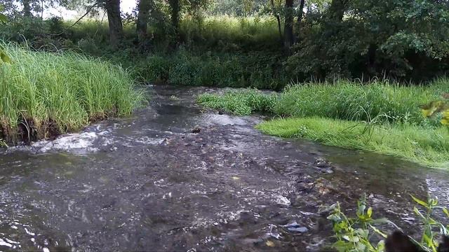 Вид на реку (2)🌳🌊🍀 смотреть онлайн