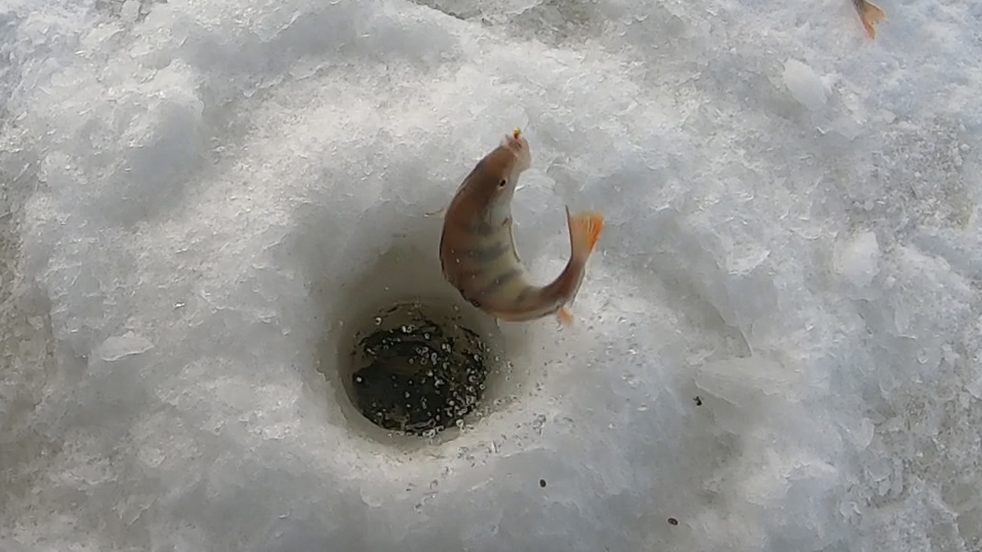 Рыбалка в Метель на озере Сартлан.Не едь на рыбалку говори они там ветер и снег говорили они смотреть онлайн