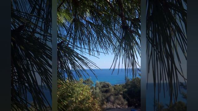 Стихи.Лирика.Весна.Пробуждение природы и души смотреть онлайн