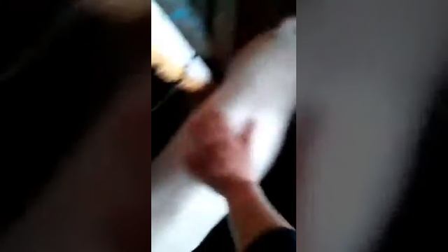 Разведение свиней в домашних условиях. смотреть онлайн