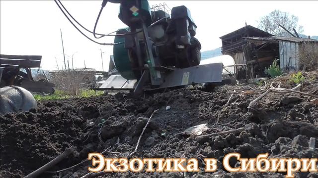 Мотоплуг Caiman в действии #Caiman