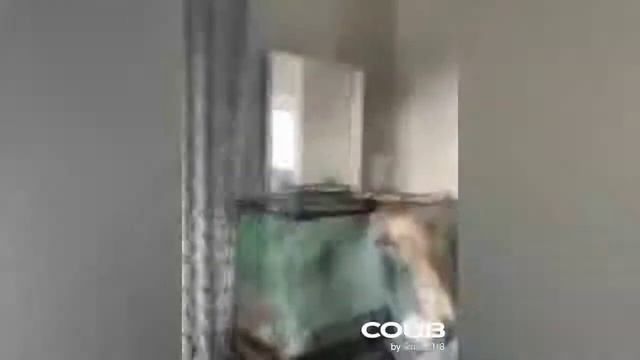 Котэ Фристайло смотреть онлайн