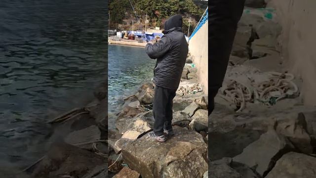 Вот такая работа. Южная Корея 🇰🇷 смотреть онлайн