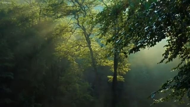 Ваша Звезда. Сильная ГипноПрактика!!!! смотреть онлайн