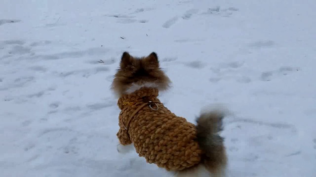 красавчик смотреть онлайн