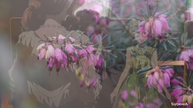 Цветы и аниме "Вайолет Эвергарден" (P.S. "Цветы лучше пуль") смотреть онлайн