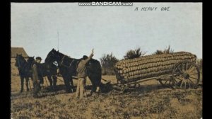 Гиганские овощи и фрукты 19 века. Реально или это Хорошая подделка