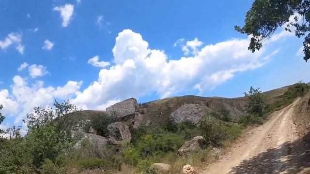Дорога в лисью бухту на скутере смотреть онлайн