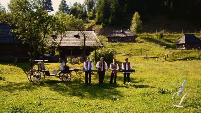 kolo4ava i смотреть онлайн