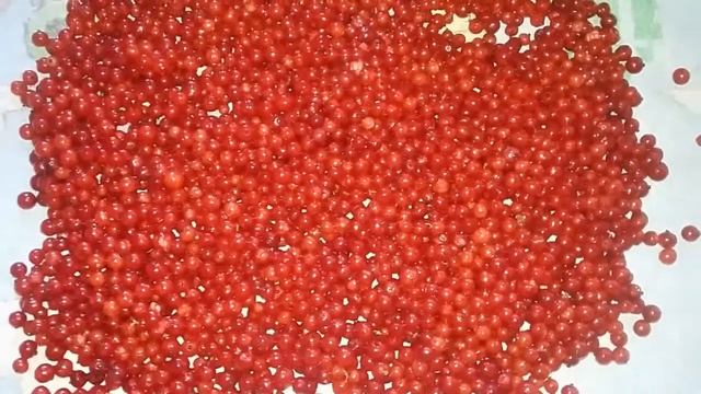 Красная смородина. Заготовки на зиму.