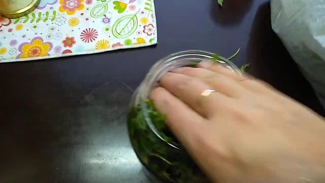 Иван-чай от А до Я.23.07.2020г. смотреть онлайн