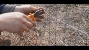 Забор из сварной сетки | БЫСТРО и ПРОСТО