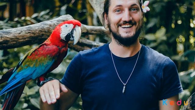 Зоолог: что это за специальность, обязанности, обучение смотреть онлайн