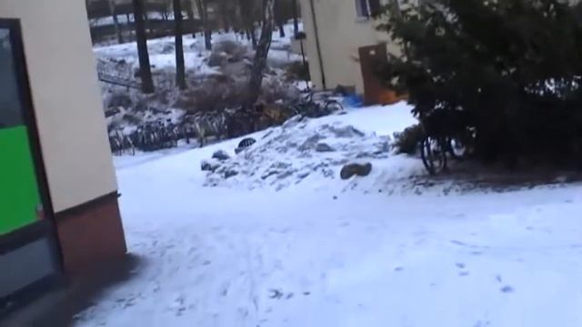 зимой вид велосипедов в Стокгольме смотреть онлайн