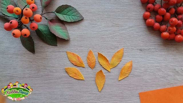 Гроздь рябины