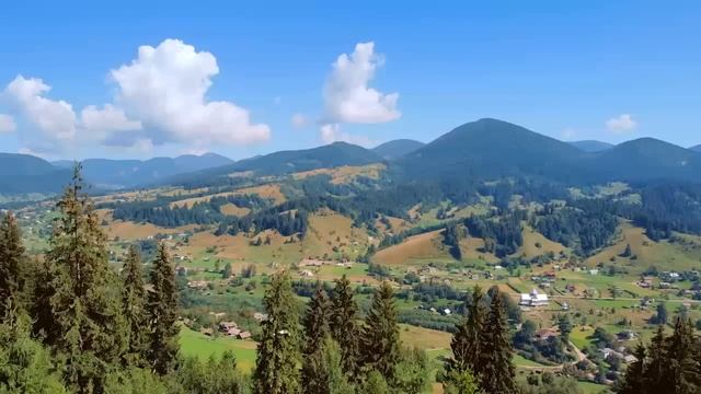 Истории из жизни. После гибели отца прошло 5 лет, но от его имени приходит заказное письмо! Истории смотреть онлайн