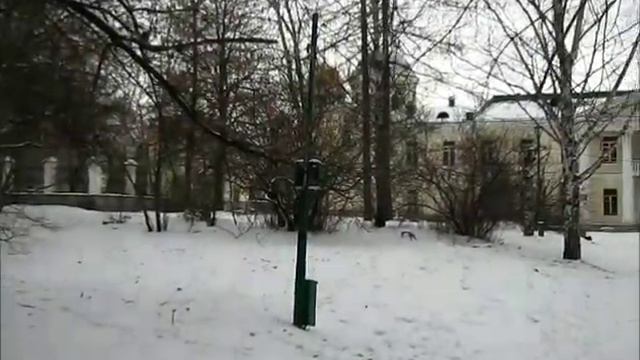 Беседка-ротонда смотреть онлайн