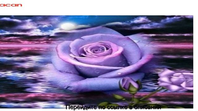 Картины из страз наборы купить алиэкспресс смотреть онлайн