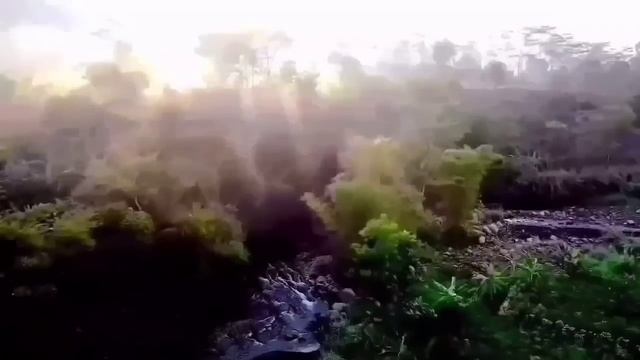 ХИТРЫЕ ПИРАТСКИЕ МАХИНАЦИИ! ПИРАТСКАЯ ЖИЗНЬ. ОБЗОР. смотреть онлайн