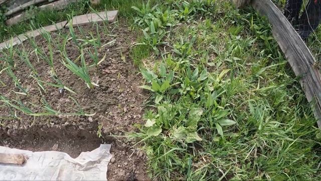 Ключница на лазерном станке.Восстановили забор. смотреть онлайн