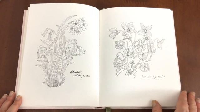 ?The Flower Year: A Coloring Book - Coloring Book Review - Leila Duly смотреть онлайн