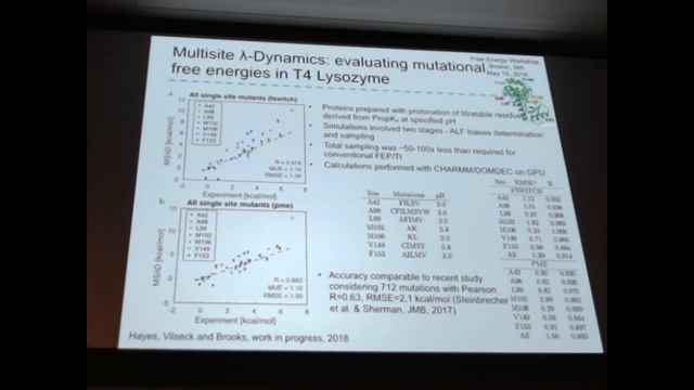Charlie Brooks - Workshop on Free Energy, Kinetics, & MSM in Drug Design 2018 смотреть онлайн