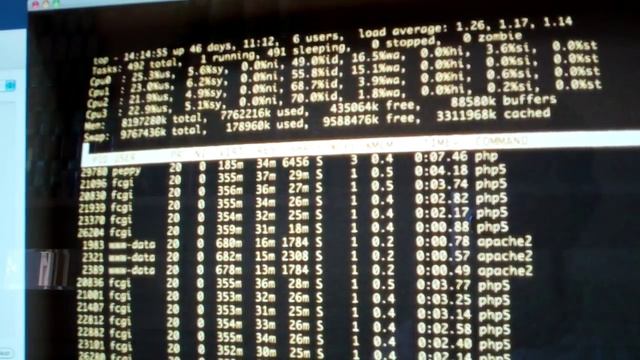cathode: vintage terminal emulator смотреть онлайн