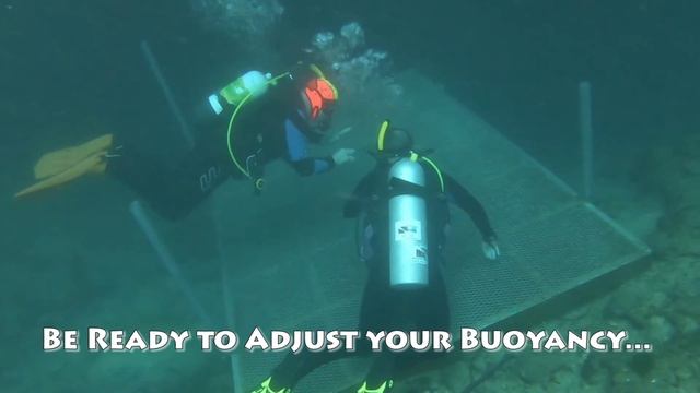 Scuba Certification Open Water Dive** Scuba Training