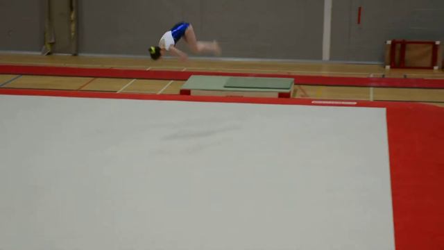 Lolotte Pitchou - Sol - 1re Selection provinciale - Division 1 - Viagym смотреть онлайн