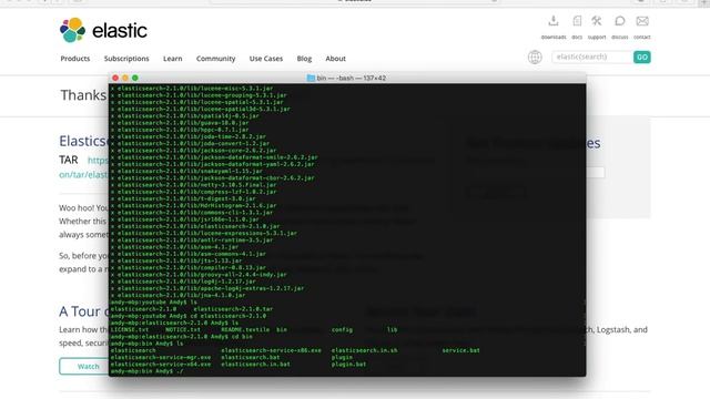 How to install Elasticsearch on OS X смотреть онлайн